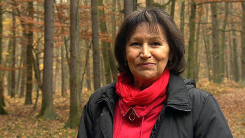 Chcete mě? - 20. listopadu 2011