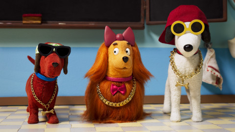 Rusty - 43/52 Psí rap