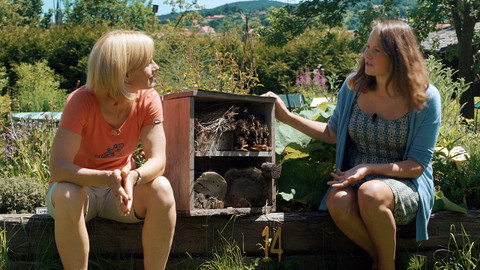 Kouzelné bylinky - Alergie aneb poblázněná imunita