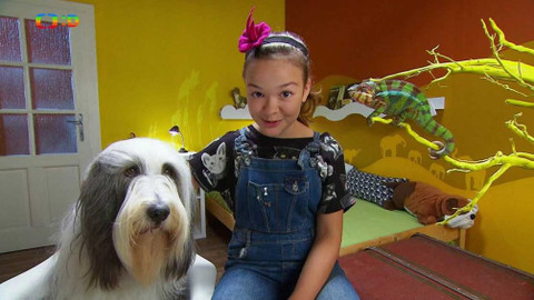 Terčin zvířecí svět - 23. listopadu 2018