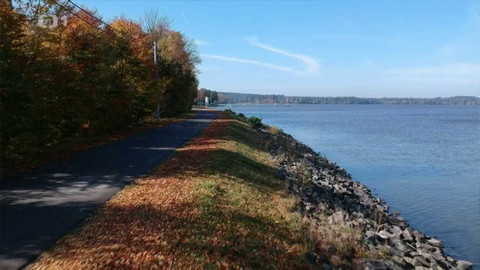 Toulavá kamera - 13. listopadu 2022