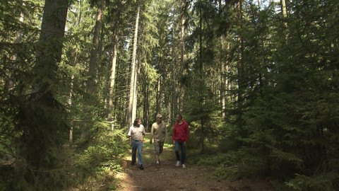 Chcete mě? - 8. září 2019