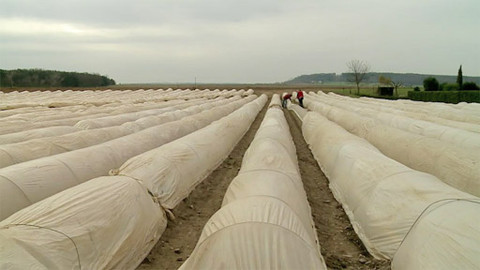 Kluci v akci - Chřestová II.