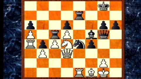 V šachu - 5. února 2010