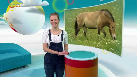 Zprávičky - 22. dubna 2021