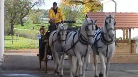 Toulavá kamera - 4. listopadu 2007