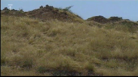 Objektiv - 7. února 2010