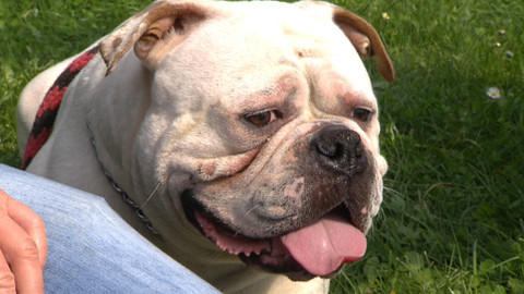 Chcete mě? - 19. října 2014