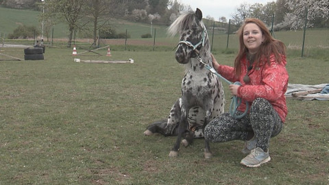 Chcete mě? - 7. května 2017