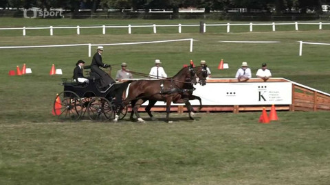 Jezdectví - M ČR spřežení Kladruby nad Labem