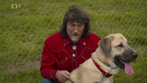 Kočka není pes - Neposlušný Aaron a hravý Filípek