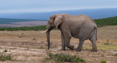 Na cestě - Na cestě po středním Kapsku