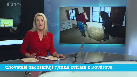 Události v regionech (jih a západ) - 17. ledna