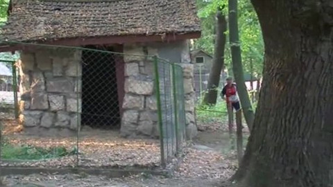 Sportovní běh a chůze - MS v orientačním běhu 2009 Maďarsko