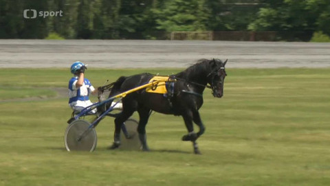 Dostihy - Velká cena primátorky hlavního města Prahy