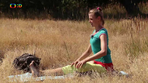 Jogínci v přírodě - Sinh a draci