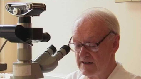 Diagnóza - Patologie