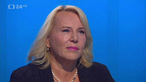 Interview ČT24 - 25. července 2024