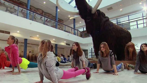 Jogínci na cestách - Žába v muzeu pravěku