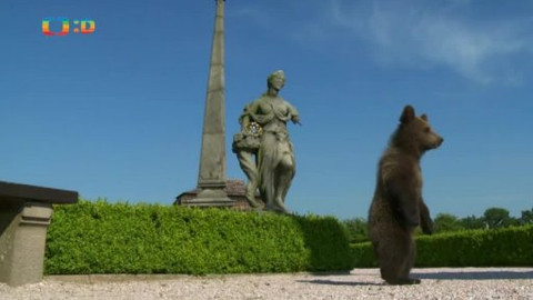 Méďové na cestách - 12/43 Dvůr Králové a okolí