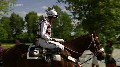 Turf - 25. května 2016