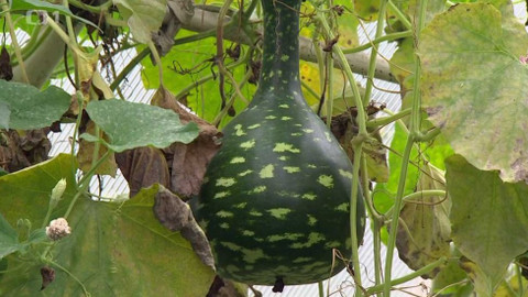 Polopatě - 23. října 2016