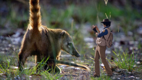 Andy na safari - Nosál