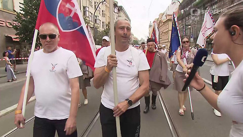 XVII. všesokolský slet - Sletový průvod