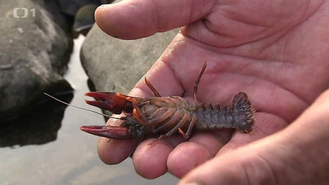 Týden v regionech (Ostrava) - 8. září 2018