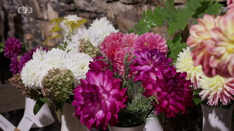 Folklorika - Jiřinkové slavnosti