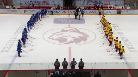 Olympiáda dětí a mládeže - ODM: Lední hokej