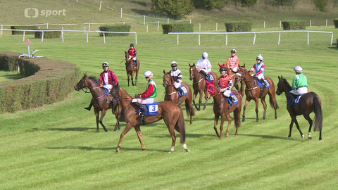 Koně a sport - 18. září