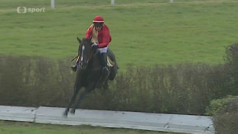 Velká pardubická - Před Velkou pardubickou 2017