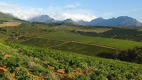 Putování za vínem - 2/16 Jihoafrická republika I.