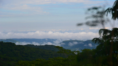 Příběhy zvědavých přírodovědců - 10/10 Šimpanzí trus aneb O lidoopech a parazitech