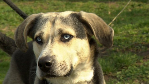 Chcete mě? - Chcete je?