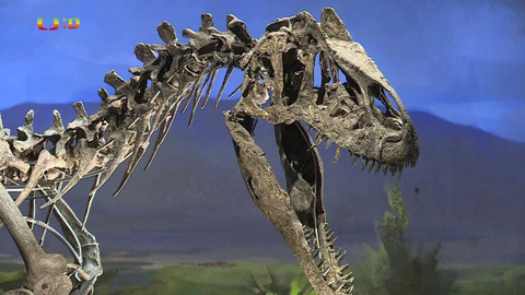 Zprávičky - 18. července 2022