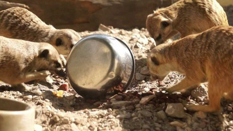 Tamtam - 7. října 2023