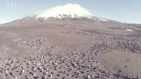 Objektiv - 20. prosince 2015