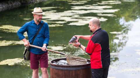Krajinou vína - 7/10 Chardonnay - z Kudlovic do Kroměříže