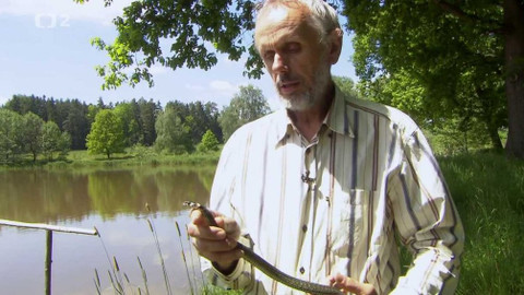 Nedej se! - Snář „ekoteroristy“ Mojmíra Vlašína