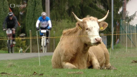 Cyklistika - Author 50 Český ráj