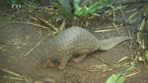 Z metropole - 21. května 2022