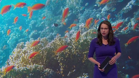 Horizont ČT24 - 31. května 2017