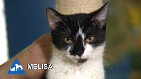 Chcete mě? - Chcete je?