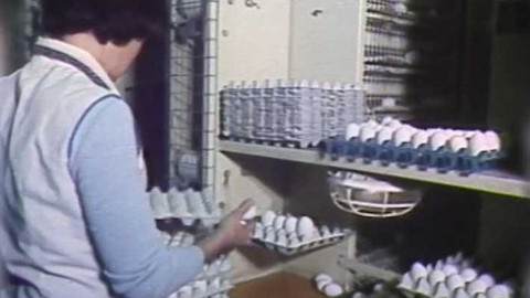 Archiv ČT24 - Úspory za každou cenu