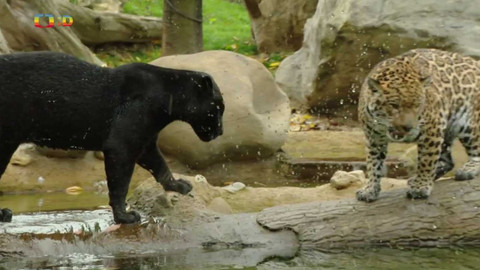 Terčin zvířecí svět - 9. prosince 2022