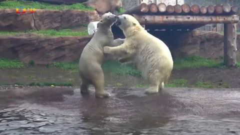 Zprávičky - 13. listopadu 2021