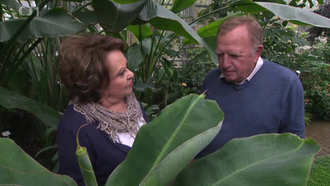 Hobby naší doby - 16. ledna 2016