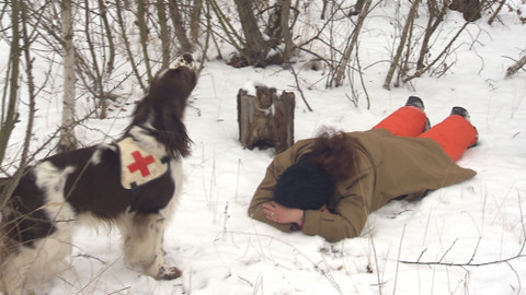 Chcete mě? - 20. března 2016